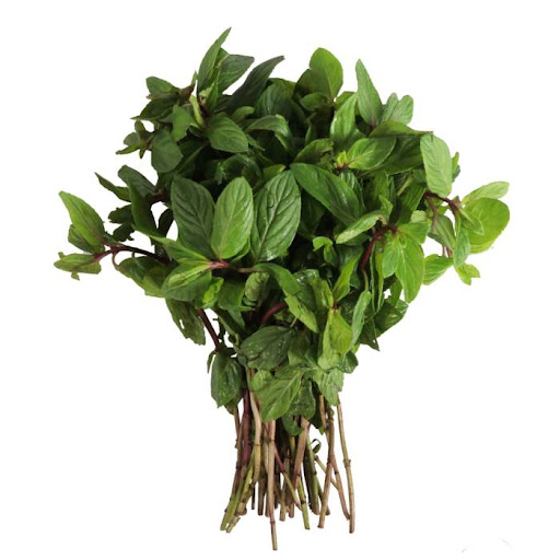 Menta