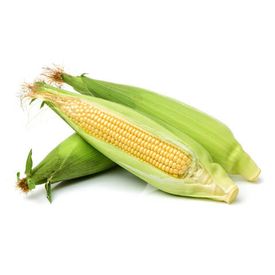 Elote