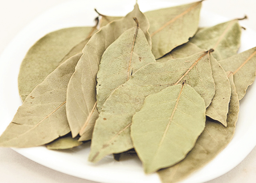 Hoja de laurel