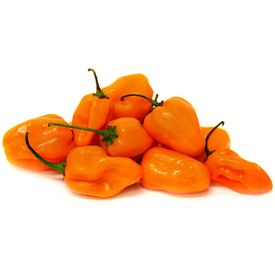 Chile habanero