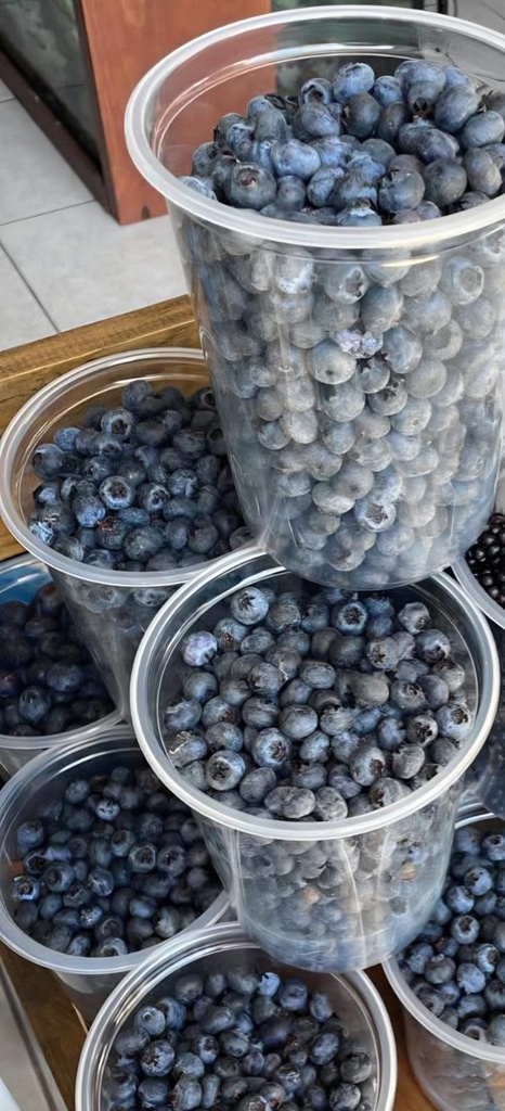 Blueberry BOTE