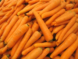 Zanahoria para jugo