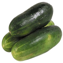 Pepino criollo