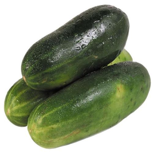Pepino criollo