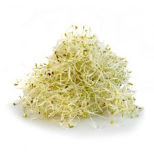 Germen de alfalfa