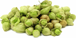 Tomatillo milpero